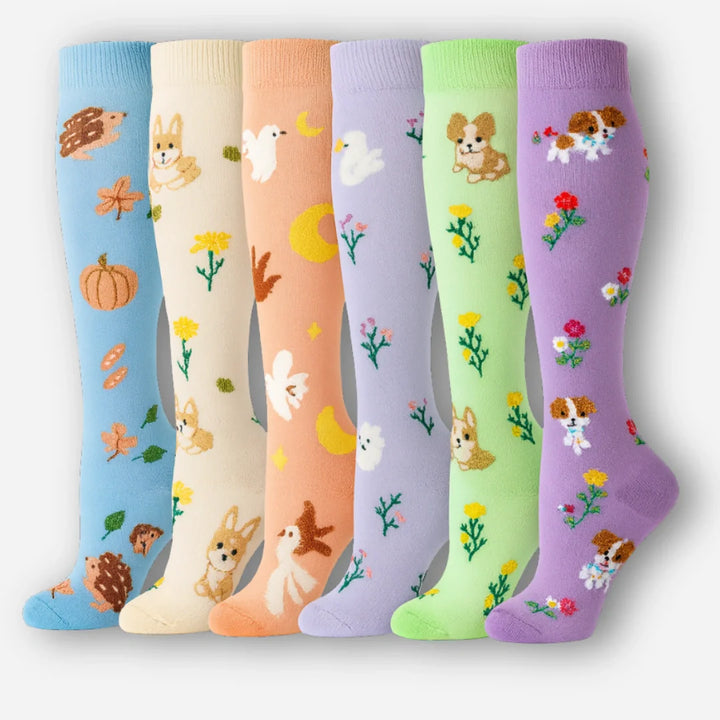 ErgiloColor - Vrolijk 6-pack steunkousen